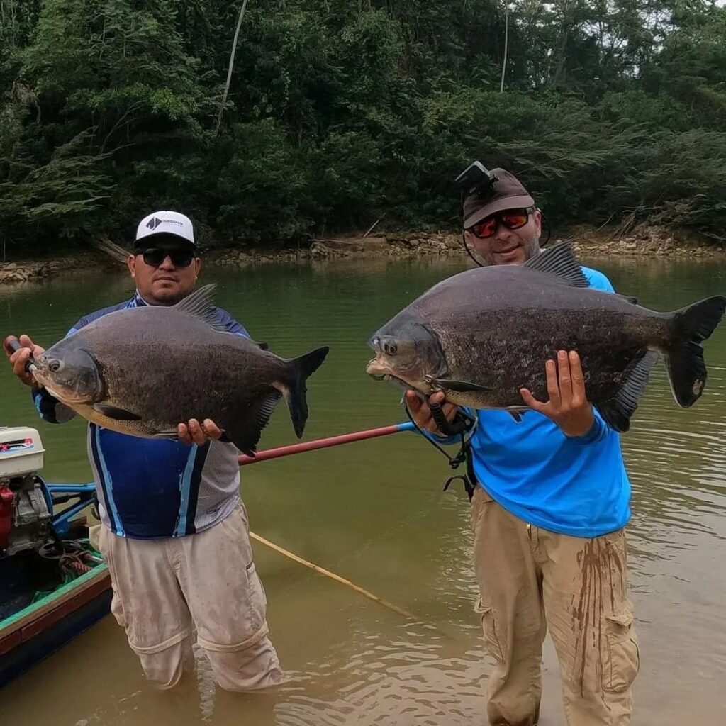 Pesca Deportiva en el Rio Amazonas