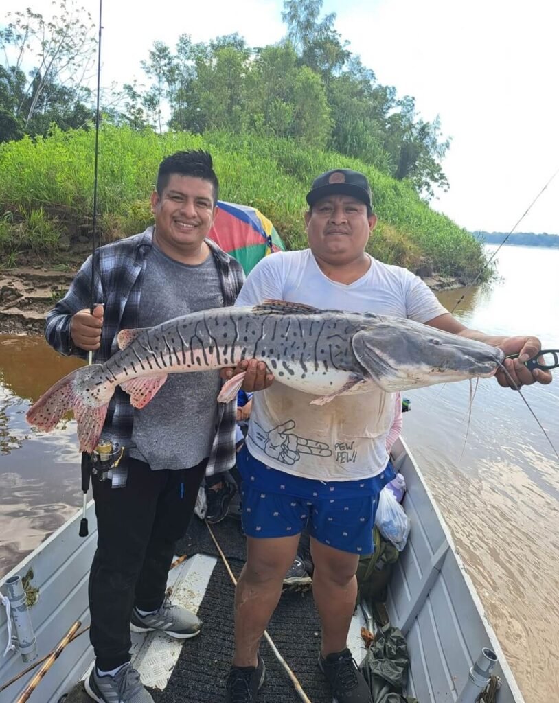 Passeios de pesca em Tambopata: Uma viagem inesquecível