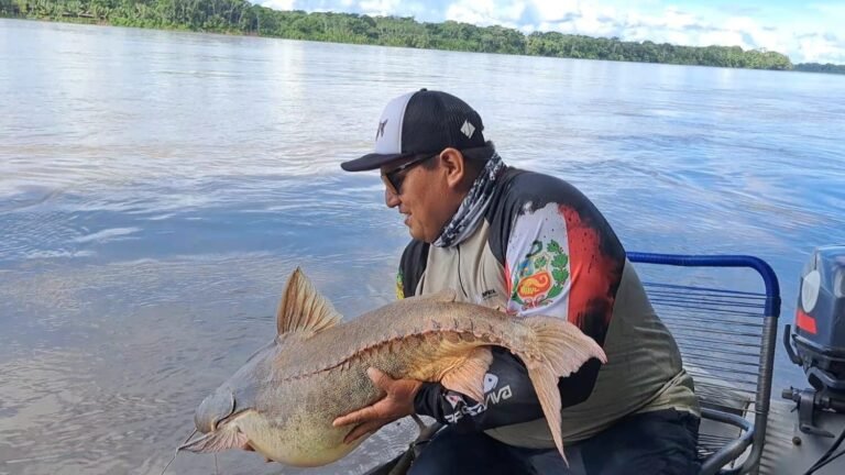 Pesca Deportiva en Tambopata (4)