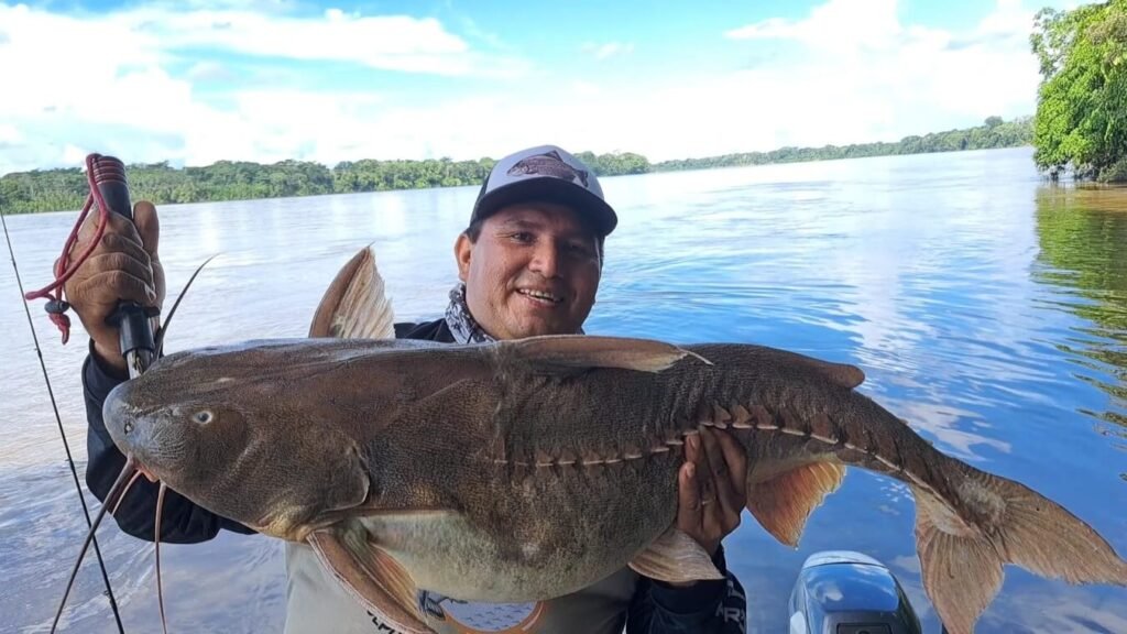 Piro - Pesca deportiva Tambopata peru - amazonas fishing