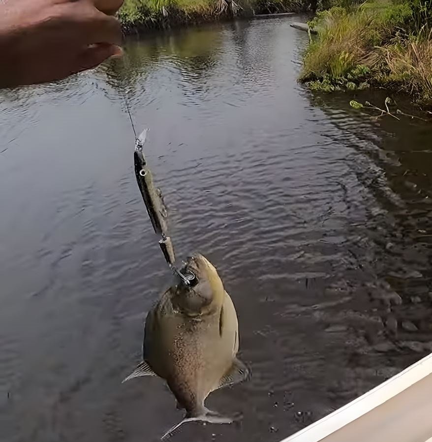 Equipment for Piranha Fishing in Tambopata