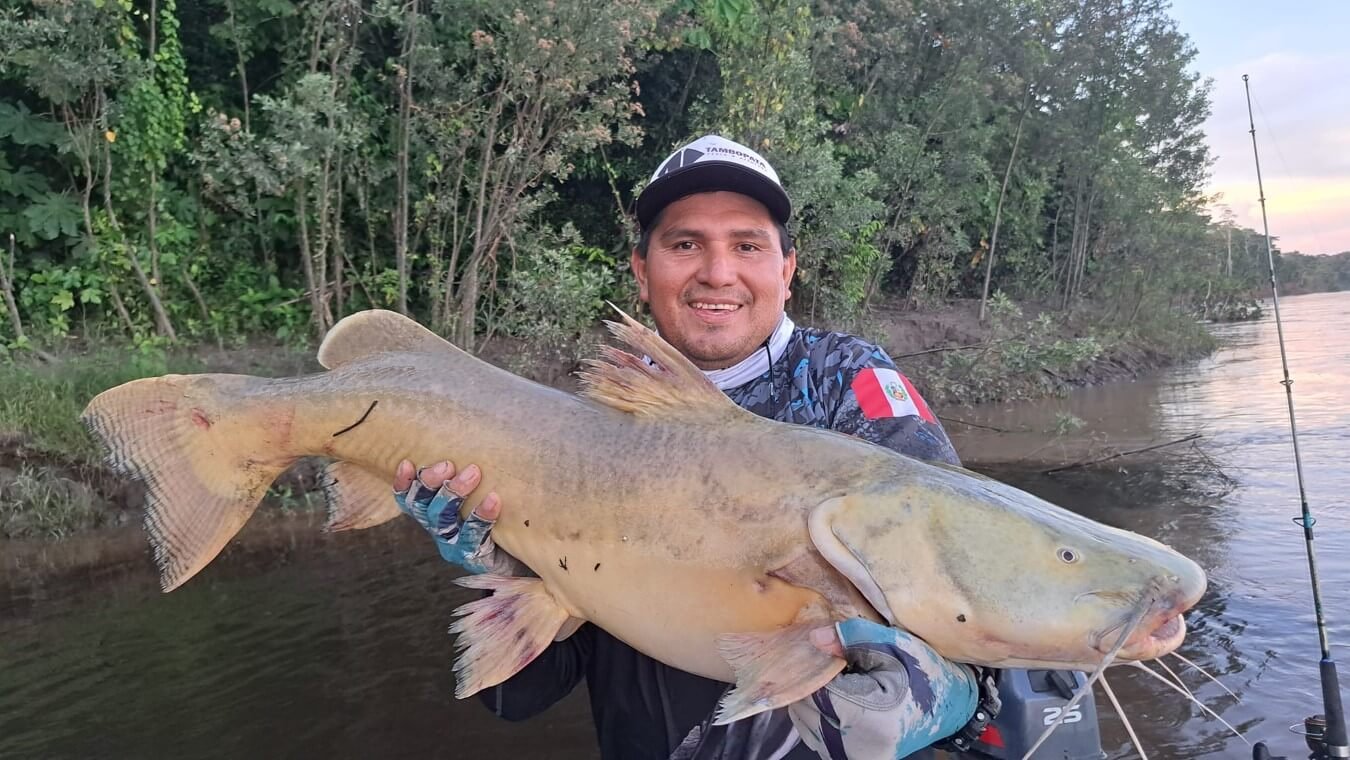 Pesca en el Río Amazonas: Diversidad de Especies de Peces