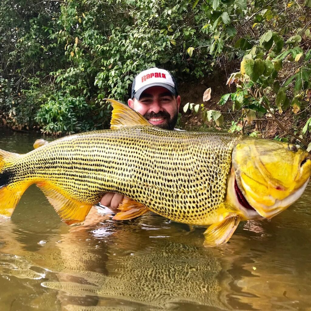 mejor temporada + pesca del dorado 