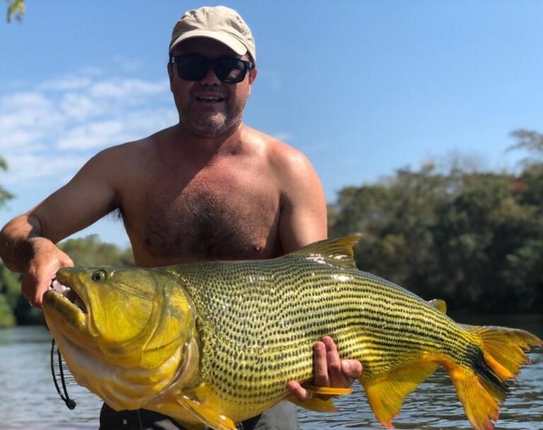 Pesca Deportiva de Dorado - Amazonas Fishing - Rancho do Mano (3)