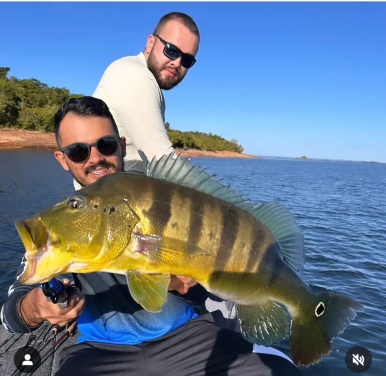 Pesca Deportiva de Tucunaré - Amazonas Fishing - Manso Fishing Resort (3)