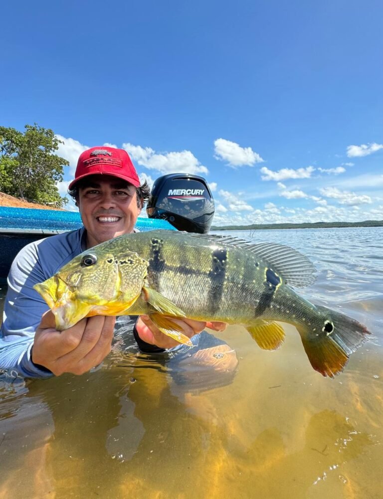 Pesca Esportiva Tucunaré - Amazonas Fishing - Manso Fishing Resort (3)