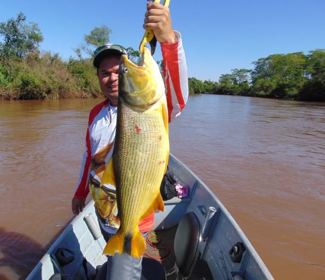 viagens de pesca do dourado na Bolívia