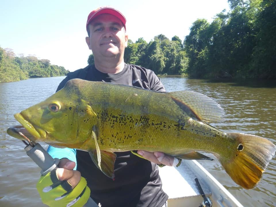 Pesca de Tucunaré no Pantanal