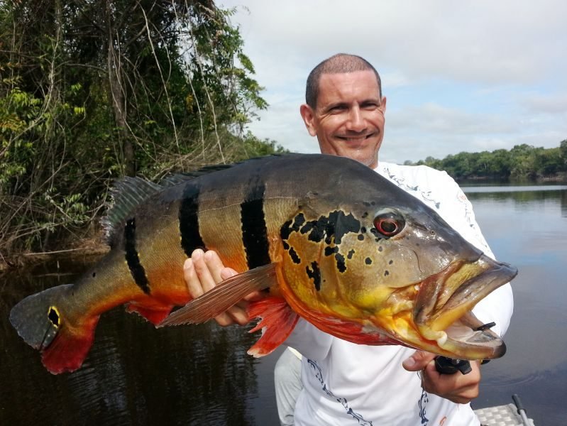 Pesca de Tucunaré no Pantanal