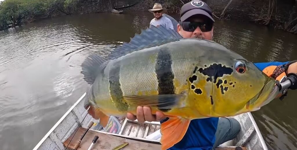 Melhores lugares para pesca de tucunaré em Iquitos