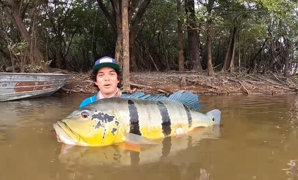 Peacock Bass Fishing in Pantanal