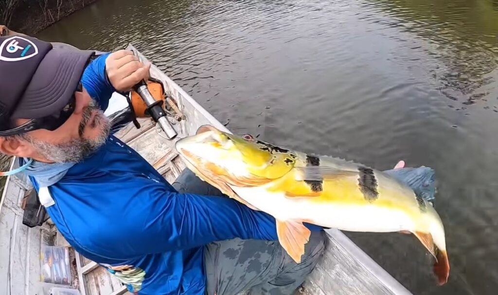 Pesca Esportiva do Tucunaré no Peru