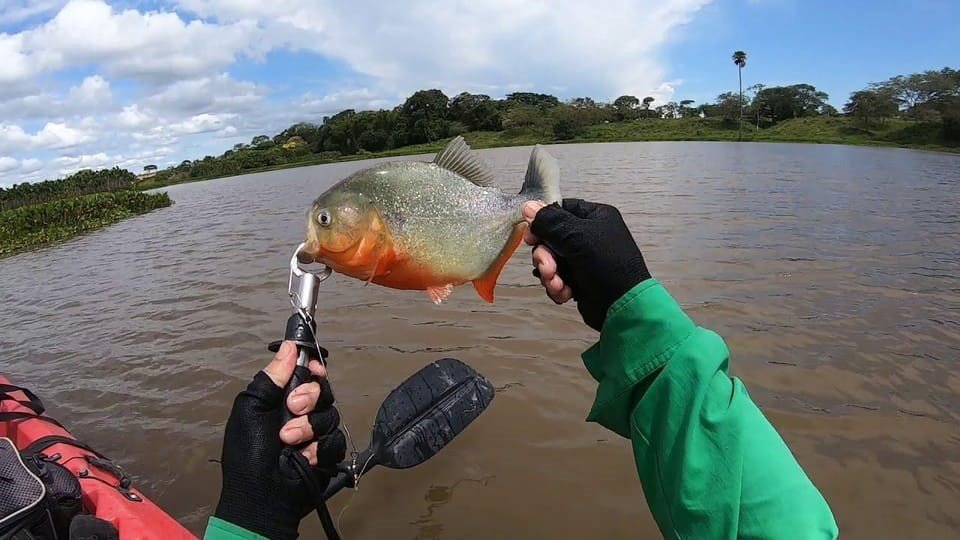 Pesca deportiva de Piraña + Puerto Maldonado