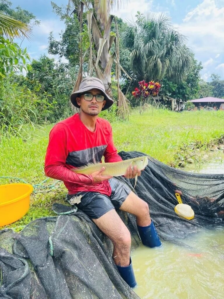 Pesca do Arapaima em Cultivos