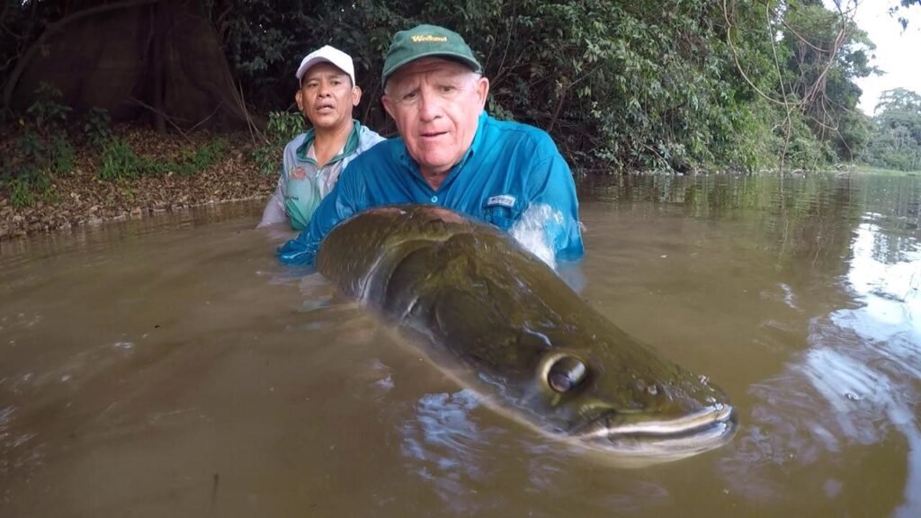 Pesca comercial + Arapaima + Bolívia