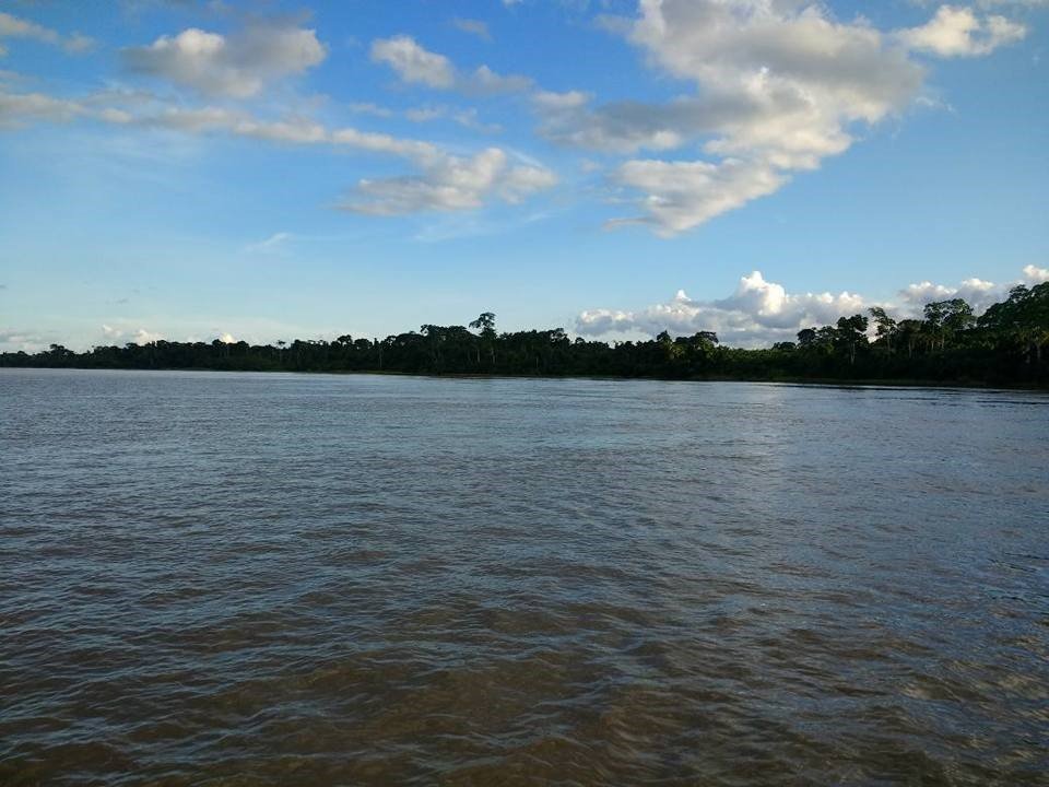 pesca del Pirarucú en guyana