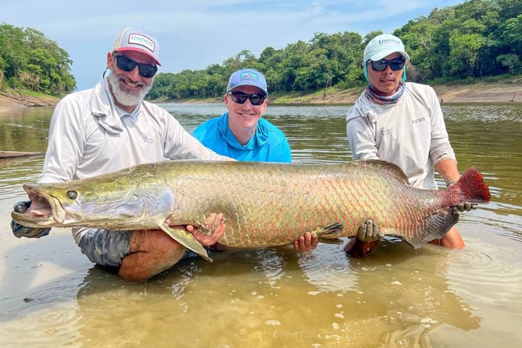 Arapaima Fishing Amazon