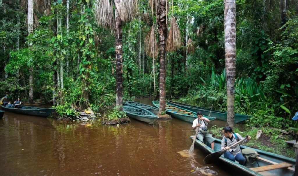 Mejores ríos para pescar Dorado