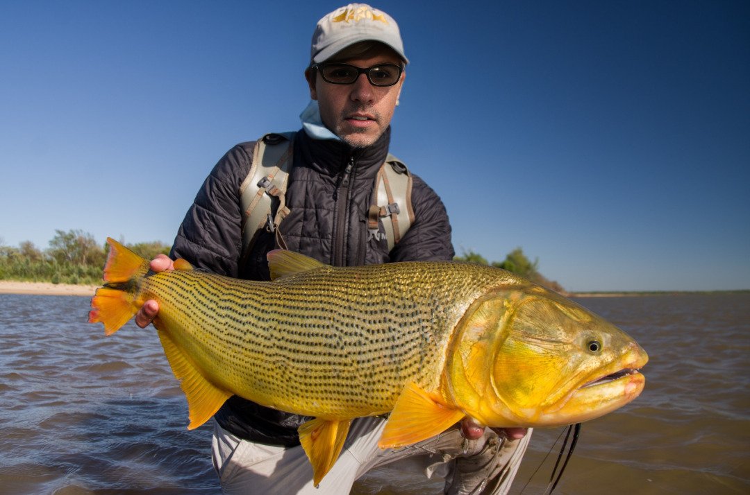 dicas de pesca para iniciantes no Pantanal