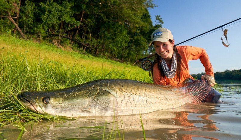 pesca pirarucu com mosca