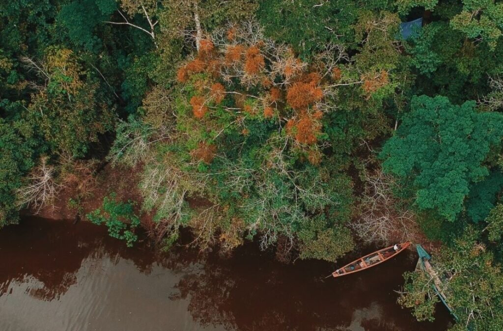  melhor Temporada pesca dourado