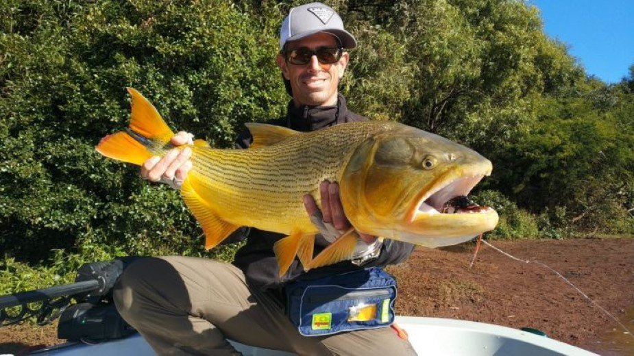 Fly Fishing for Golden Dorado in the Pantanal