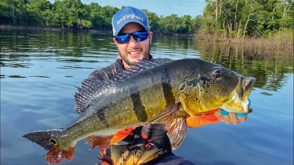 Sport Fishing for Peacock Bass in Colombia 