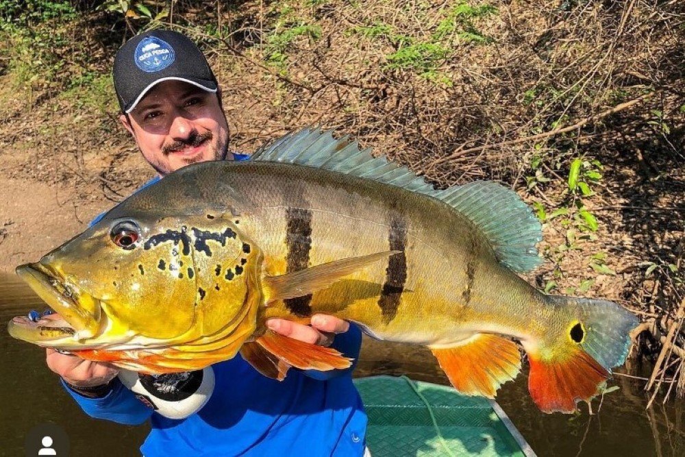 Fly Fishing for Peacock Bass in Bolivia