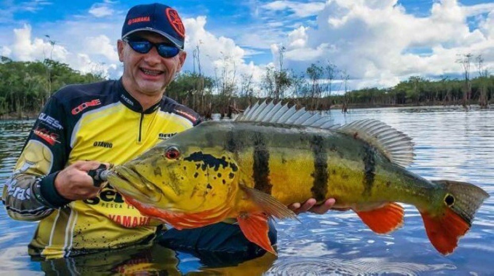 Fly Fishing for Peacock Bass in Bolivia