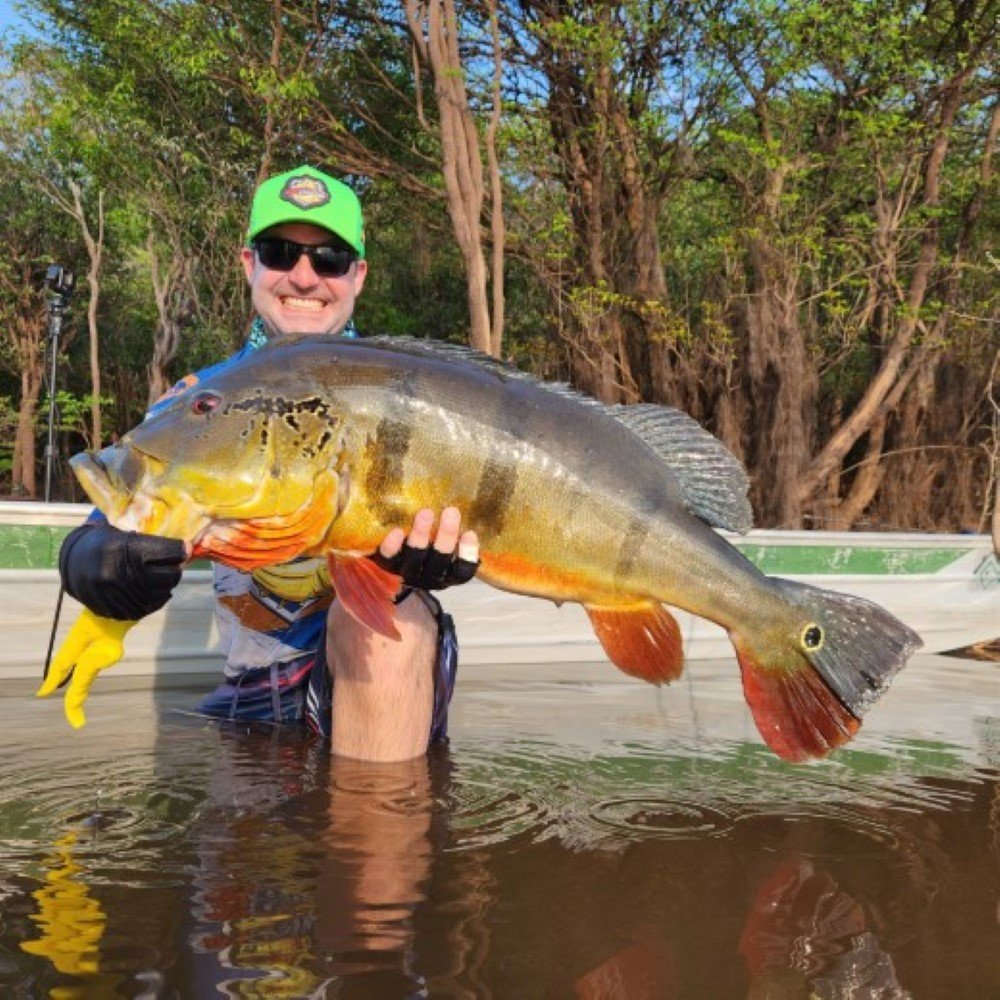 Fly Fishing for Peacock Bass in Bolivia